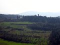 Fiesole - Parco di Montececeri-27
